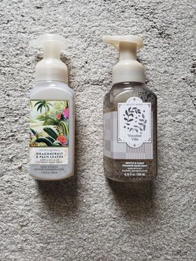 BBW Vacation Villa & Dragonfruit & Palm Leaves Foaming Hand Soap